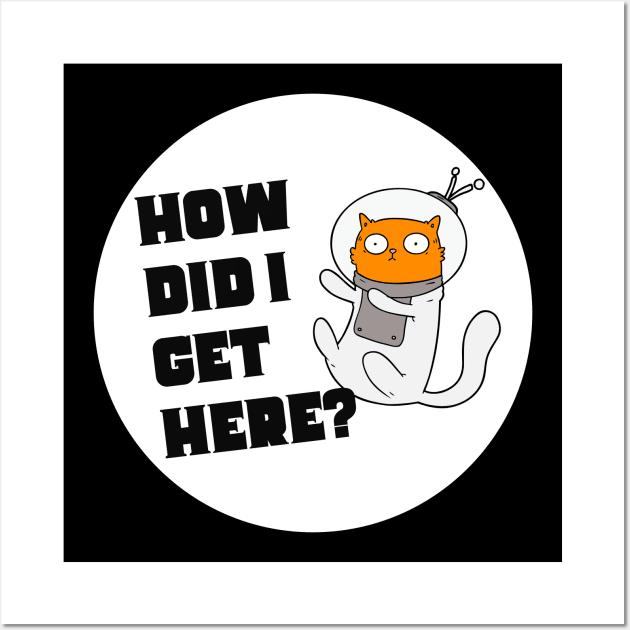 Confused Cat in Space Wall Art by Sleepy Time Tales